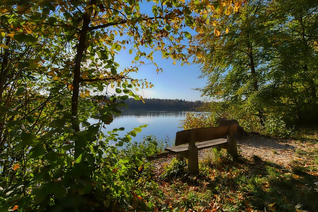 身体素质和 身体素质和