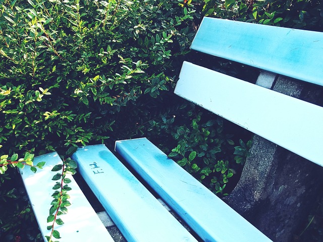 驚心動魄的 驚心動魄的