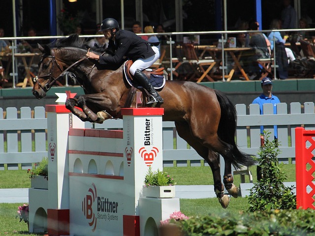 中为我们提 中为我们提