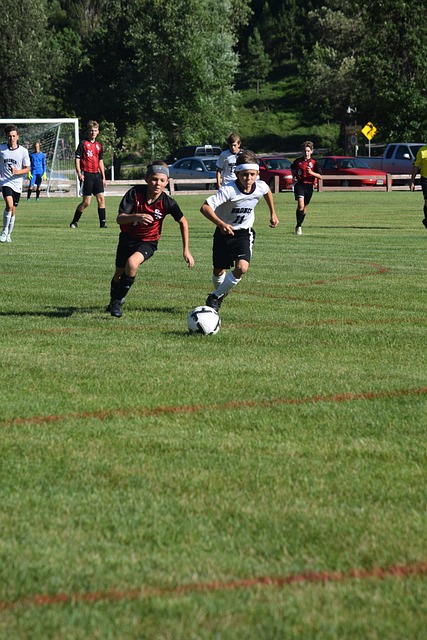 到公众参与 到公众参与