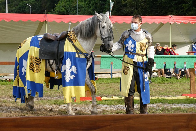 大力投入 大力投入